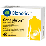 Canephron 18 mg + 18 mg + 18 mg, 60 comprimate iritate