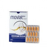 Movial Plus Fluidart, 28 capsule, ActaFarma