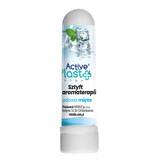 ActivePlast Aroma, stick pentru aromaterapie, mentă cu gheață, 1 buc