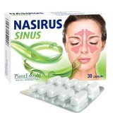 Nasirus Sinus