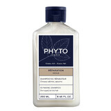 Phyto Repair, shampoo ristrutturante per capelli danneggiati e fragili, 250 ml