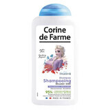 Corine de Farme, Șampon strălucitor, Disney Frozen II, 300 ml