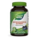 Gélules d'Ashwagandha au goût de baies Gélules d'Ashwagandha, 125 mg, 90 gélules, Secom