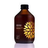 Biologische Kombucha Drink met Yerba Mate en Cafeïne, 330 ml, Vigo