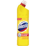 Domestos Dezinfectant înălbitor anticalcar Citrice, 750 ml