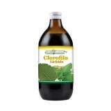 Suc Clorofila Bio, 500 ml, Health Nutrition