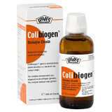 Colibiogen orale oplossing, 100 ml, Laves