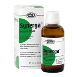 Synerga orale oplossing, 100 ml, Blaadjes