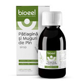 Sirop de patlagina si muguri de pin, 120 ml, Bioeel