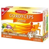 Terezia Cordyceps activ 60 capsule