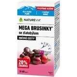 NatureVia Mega afine cu goldenrod 60 buc