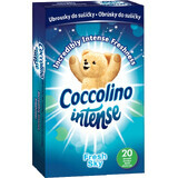 Toallitas secantes Coccolino 20 uds.