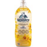 Lavandera Lavandă concentrată Tropical Glow 80 PD, 1.76 l