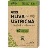 Vitar Ciupercă de stridii + Cătină de mare + Echinacea Forte 60 capsule