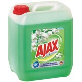 Detergent universal Ajax Floral Fiesta, Flori de primăvară 5 l