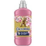 Coccolino balsam de rufe Honeysuckle 1.27 l