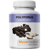 MycoMedica Polyporus 90 capsules