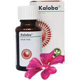 Picături de Kaloba 20 ml