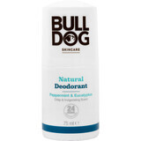 Deodorant natural Bulldog mentă și eucalipt 75 ml