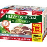 Terezia Oyster mushroom + Lactobacilli acțiune 1+1 cu săgeți 2 x 60 capsule