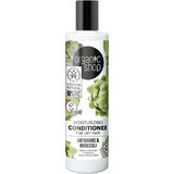 Organic Shop Hydraterende Conditioner voor Droog Haar Artisjok en Broccoli 280 ml