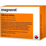 Magnerot 100 comprimate