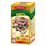 Terezia Oyster mushroom 60 capsule