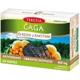 Terezia Chaga + reishi și cătină de mare 60 capsule