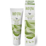 Latte corpo idratante Anthyllis con tè verde e burro di karité biologico 150ml