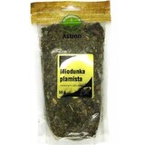 Lucernă pătată 50g Astron