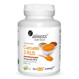 Curcumin 3 PLUS Curcuma longa 500 mg Piperin 1 mg 60 capsule Aliness