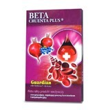 Betterave lyophilisée et micellisée avec Chokeberry - Beta Cruenta Plus 500g - carton, Guardian International