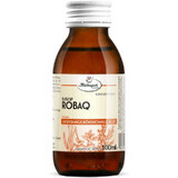 ROBAQ sirop 100ml HERBAPOL KRAKÓW