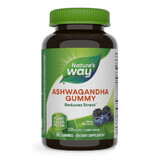 Ashwagagandha Gummy, 125 mg, 90 pièces, Berry, Nature's Way