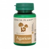 Agaricus Protectie celulara naturala, 60 cpr, Dacia Plant