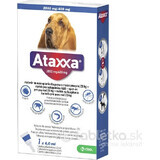 Ataxxa 2000 mg/400 mg (câini peste 25 kg) 1×4 ml, soluție pentru câini