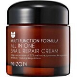 Mizon Crema Todo en Uno Caracol Negro 75 ml 1×75 ml