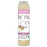 Șampon Eco Bio pentru păr gras cu brusture și rozmarin, 250 ml, Anthyllis