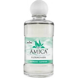 AMICA GAFRRA LOTION 1×60 ml, loțiune