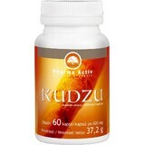 Pharma Activ Kudzu 1×60 cps, supliment alimentar