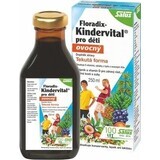 SALUS Floradix Kindervital fruity 1×250 ml, sirop de plante