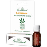 Cannaderm CANNADENT ser regenerant 1×5 ml, ser regenerant