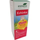 Aromatica ECHINKA Cinnamon syrup for children 1×210 ml, cough syrup