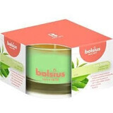 Bolsius Aromatic 2.0 Bougie parfumée en verre au thé vert 1×1 pc, taille 80 x 50 mm