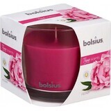 Bolsius Aromatic 2.0 Flacon en verre 95x95mm Pivoine, bougie parfumée 1×1 pc, bougie parfumée