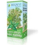 MEGAFYT Ceai din plante pentru alăptare. 1×30 g (20×1,5 g), ceai cu păducel