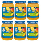 Set desert Gerber, fructe tropicale cu tapioca, după 6 luni, 6 x 190 g