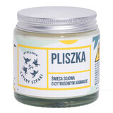 Four Spikes Pliszka, lumânare de soia cu citrice, 120 g