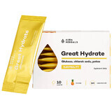 Aura Herbals Great Hydrate, ananas, 10 pliculețe