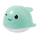 Bocioland, bath toy, fountain, whale, 1 pc